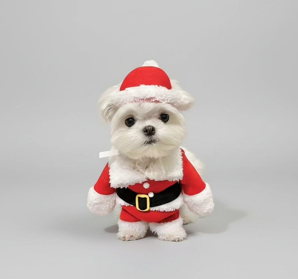 Costume Babbo Natale per cane