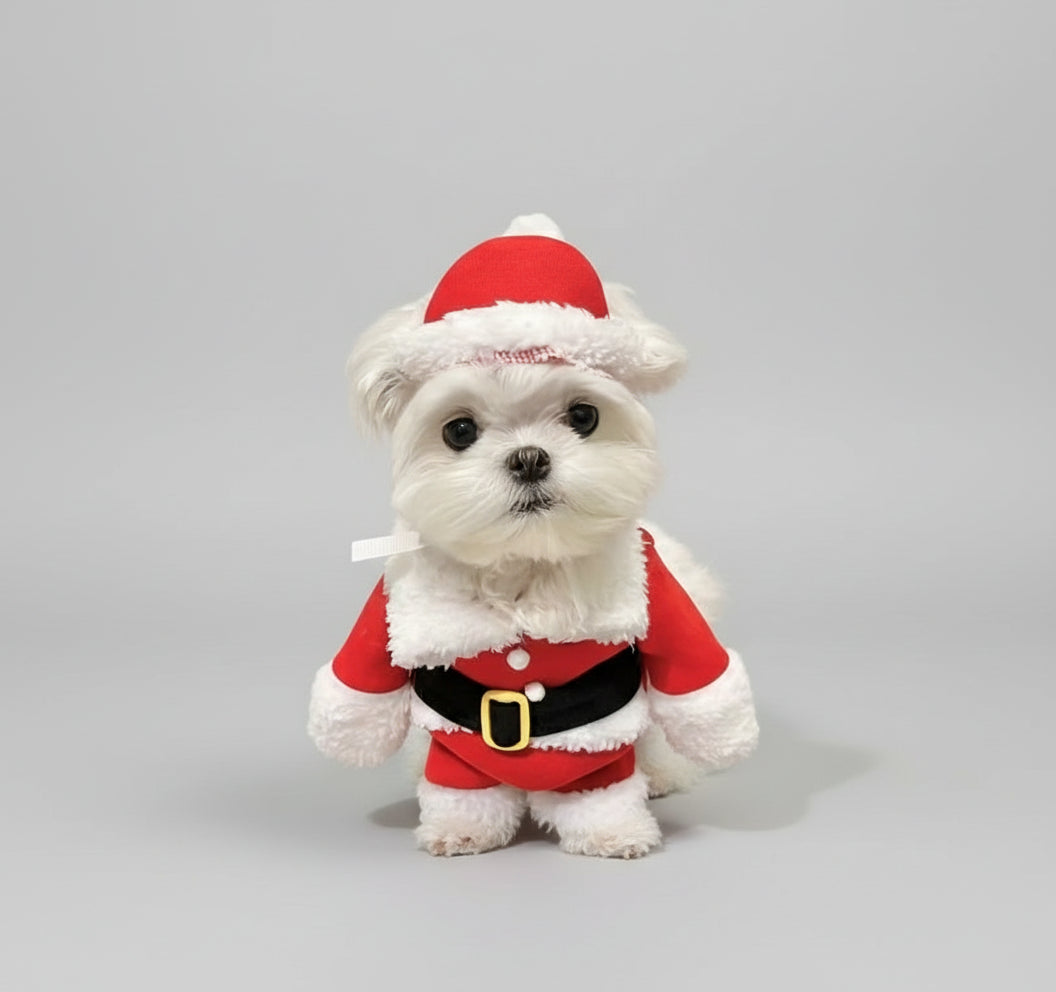Costume Babbo Natale per cane